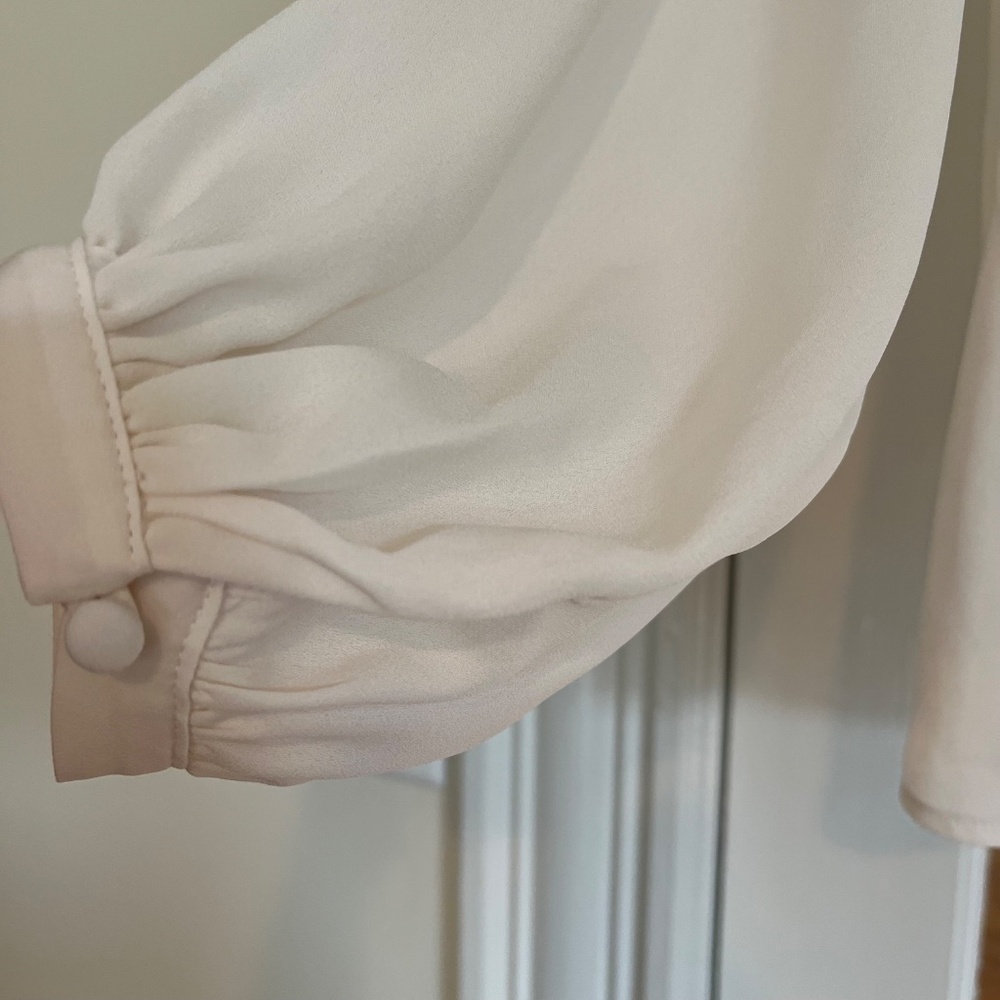 Romantic Sheer Blouse - Picture 4 of 5